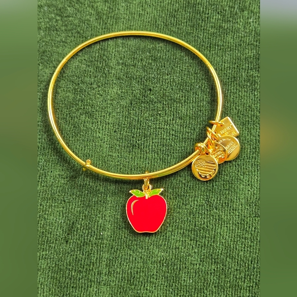 Alex And Ani Gold Tone Red Apple 2017  Charm Bracelet - Picture 4 of 15